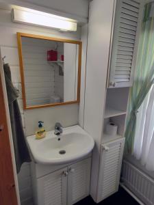 a bathroom with a sink and a mirror at Villa Kotiranta in Jämsä
