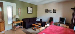 a living room with a couch and a tv at Boost Your Immo Canteneige Sainte Marie 391 in Vars