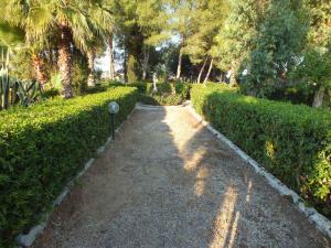 A garden outside Agriturismo Villantica