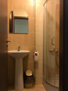 a bathroom with a sink and a shower with a mirror at Casa Ardeleneasca in Sebeşu de Sus