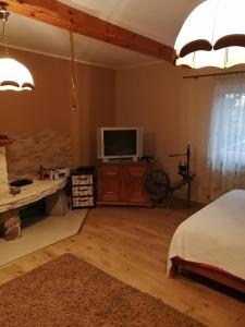 una camera da letto con un letto e una TV su un mobile di Noclegi przy kominku a Międzyleś