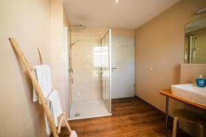 ein Bad mit einer Dusche und einem Waschbecken in der Unterkunft Burgers Hotel in Kippenheim