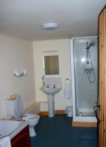 a bathroom with a toilet and a sink and a shower at The Courtyard, Laurel Farm in Lowestoft