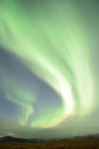 an aurora in the sky over a field at Puffin Hotel Vík in Vík