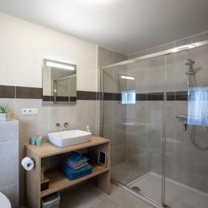 ein Bad mit einem Waschbecken und einer Dusche in der Unterkunft B&B De Bloesem in Hoeselt
