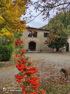una pianta con fiori rossi di fronte a una casa di Villa La Ginestra - Charming Country Home a Capolona