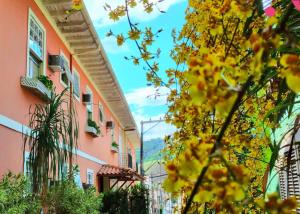 コンセルヴァトリアにあるPousada Solmaiorのピンクと黄色の建物のある町の通り