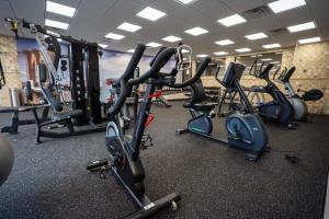 Fitness centrum a/nebo fitness zařízení v ubytování Best Western Plus Fairfield Executive Inn