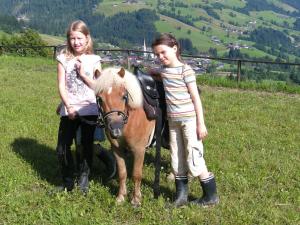 Afbeelding uit fotogalerij van Appartement Rossalm mit Sauna in Alpbach