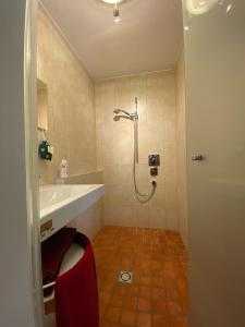 a bathroom with a shower and a sink at Modernes Alpenapartment mit Sauna Wintergarten und Pool in Salzburg