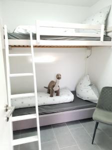 MünstermaifeldにあるSchöne Wohnung Kleiner Onkel auf idyllischem Reiterhof nahe Burg Eltzの二段ベッド(下段に猿が座っている)