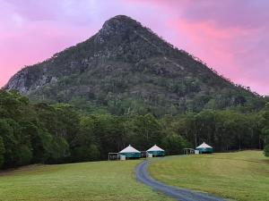 a mountain with tents in a field with a dirt road at Noosa Eco Retreat in Pomona