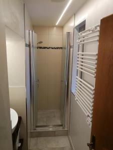W łazience znajduje się prysznic, toaleta i umywalka. w obiekcie Haus Groder w mieście Rauris