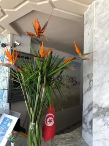 迈来亚Hotel Djerba Orient的相册照片
