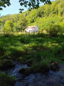 una casa en medio de un campo con un arroyo en La mansarde aux digitales en La Croix-aux-Mines