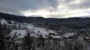 un pequeño pueblo cubierto de nieve en una montaña en La mansarde aux digitales en La Croix-aux-Mines