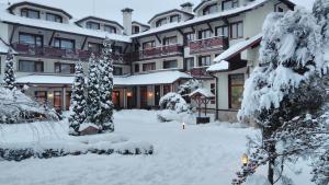 Evelina Palace Hotel om vinteren