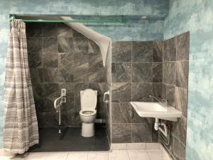 La salle de bains est pourvue de toilettes et d'un lavabo. dans l'établissement Hôtel Restaurant De La Mare, à Avrigny