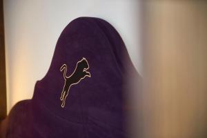 Fotografia z galérie ubytovania Hotel Panther'A v destinácii Saalbach Hinterglemm
