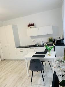 Η κουζίνα ή μικρή κουζίνα στο Apartament Walczaka 22 MIEJSCE PARKINGOWE