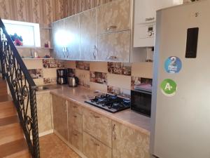 Η κουζίνα ή μικρή κουζίνα στο Fontanka Dom +15 φωτογραφίες