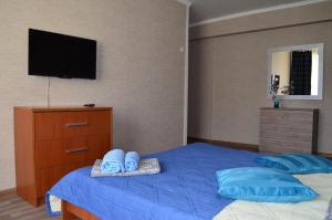 um quarto com uma cama com almofadas azuis e uma televisão em Standard Brusnika Apartment Shchyukinskaya em Moscovo