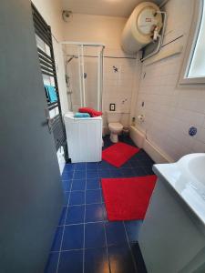 ルーアンにあるLe Rive Gauche by Beds76, Grand Parkingの小さなバスルーム(トイレ、赤い敷物付)