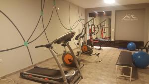 Fitness centrum a/nebo fitness zařízení v ubytování Altos