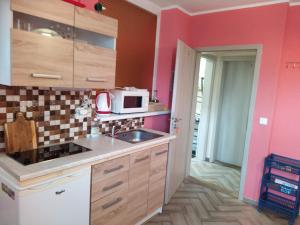 Kuchyň nebo kuchyňský kout v ubytování Apartments Klentnice U Mikulova