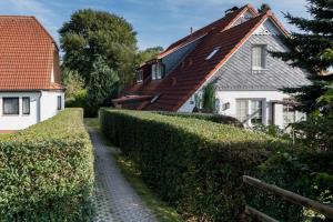 a house with a hedge next to a white house at Weide - gemütliches Ferienhaus am Anger in Kloster, Insel Hiddensee in Kloster