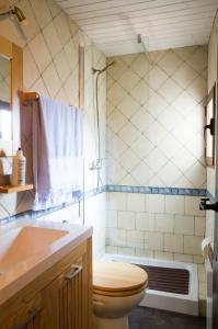 een badkamer met een toilet, een wastafel en een douche bij Casa Rural La Pinocha in Sigüenza