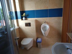 Agrostok noclegi agroturystyka的一间浴室