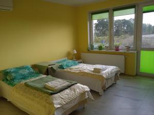 Strzelce GórneAgrostok noclegi agroturystyka的有两张床的房间有两扇窗户