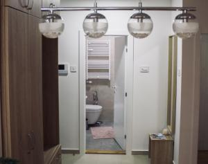 Lux Advent Apartment的一间浴室