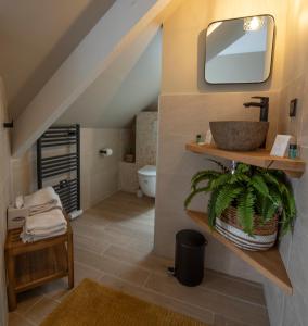 een badkamer met een wastafel en een spiegel bij La Villa du Sillon in Saint-Malo