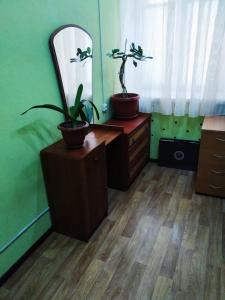 a bathroom with two plants on a dresser and a mirror at Future in Kyiv