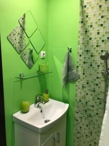クロンシュタットにあるApartment Airinの緑豊かなバスルーム(シンク、鏡付)