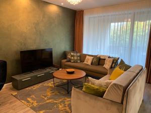 a living room with a couch and a tv at Edelweiss Apartments SILVER RESORT POIANA BRASOV in Poiana Brasov