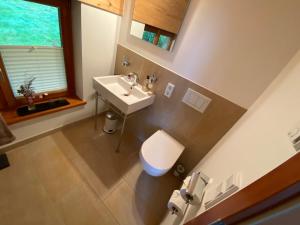een badkamer met een wastafel, een toilet en een raam bij Kurzzeitdomizil in Oberstdorf in Oberstdorf