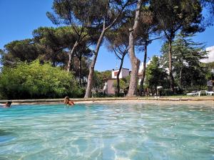 un par de personas nadando en una piscina en Agriturismo Tenuta La Muratella, en Ponte Galeria