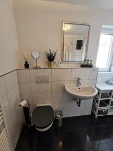 Un baño con lavabo, inodoro y espejo. en Ferienwohnung Hofmeister, en Heilbad Heiligenstadt 12 fotos más