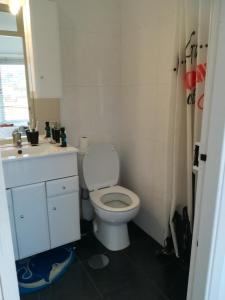 ein Badezimmer mit einem weißen WC und einem Waschbecken in der Unterkunft Casa Zona Velha - Caetano in Funchal