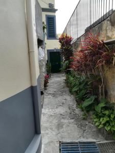 eine kleine Gasse mit grüner Tür und einigen Pflanzen in der Unterkunft Casa Zona Velha - Caetano in Funchal