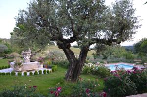 馬薩馬爾塔納的住宿－Umbrian Holiday on the enchanting hills of Todi!，花园中的树,花园中设有雕像和游泳池