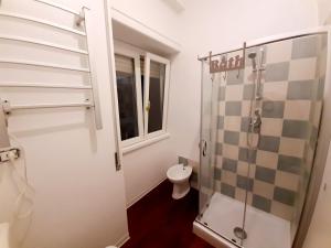 a bathroom with a shower and a toilet at Sul Corso in Avezzano