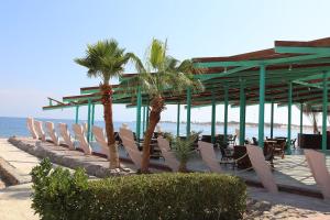 a row of chairs and palm trees on the beach at Nuweiba Club Resort in Nuweiba