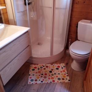 a bathroom with a shower and a toilet and a rug at les chalets et gite du haut taravo in Zicavo