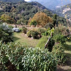 Gallery image of les chalets et gite du haut taravo in Zicavo