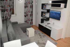 a living room with a couch and a flat screen tv at Central DeLuxe Apartments Ohrid in Ohrid