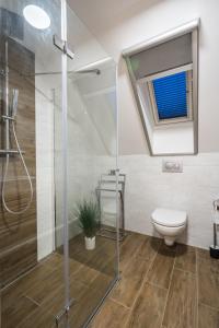 a bathroom with a shower and a toilet at Ubytovanie pod gaštanom in Hodruša